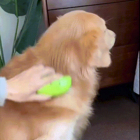 Cepillo Eléctrico 3 En 1 Para Mascotas